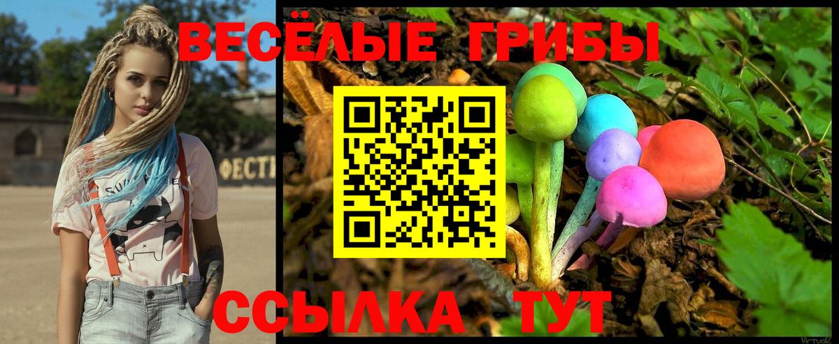 Елабуга  Псилоцибиновые грибы Psilocybe  Вход с VPN 