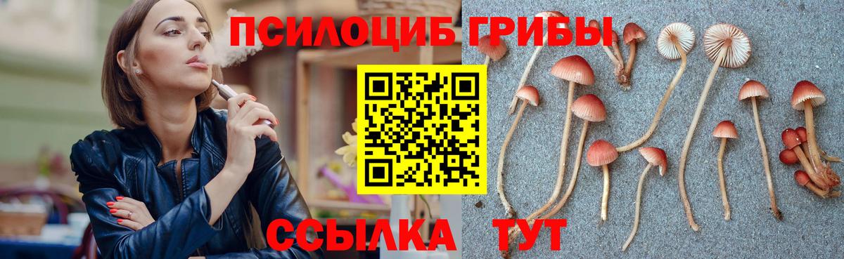 Галлюциногенные грибы мухоморы Елабуга